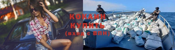 индика Верея