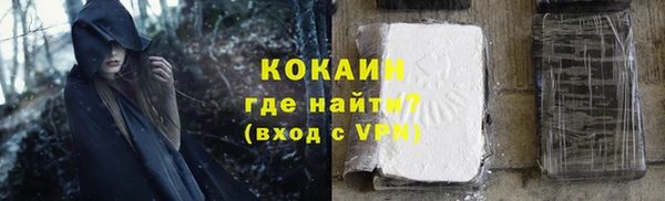 индика Верея