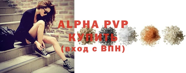 индика Верея