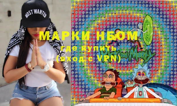 индика Верея