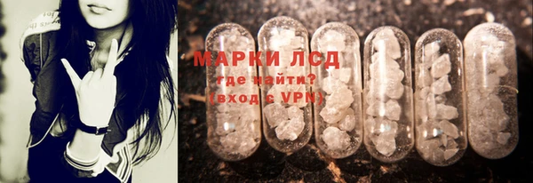 индика Верея