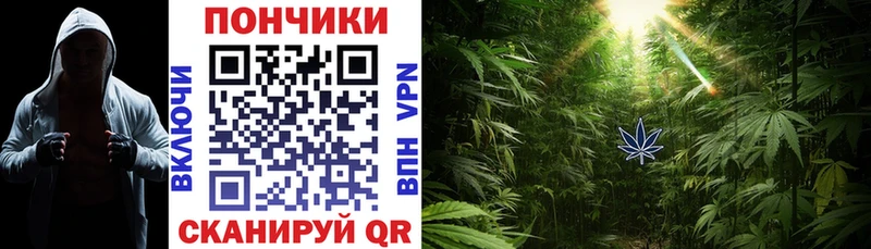 Бошки Шишки OG Kush  MEGA сайт  Вуктыл 